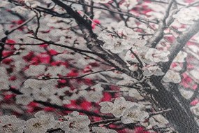Quadro su tela – Fiori di pesco