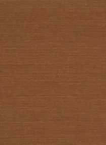 Arte International Carta da parati Agave - Terracotta