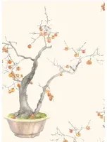 Cole & Son Carta da parati Kaki Persimmon - Ivory/ Bergamot