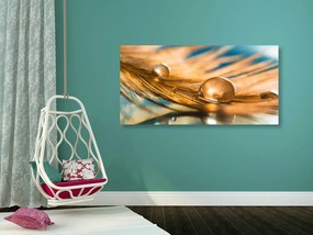 Quadro su tela – Goccia d'acqua su piuma dorata
