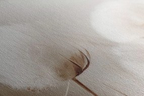 Stampa su tela – Steli di cotone