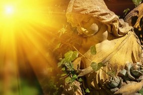 Stampa su tela – Angelo con raggi di sole