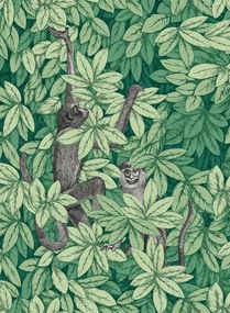 Cole & Son Carta da parati Foglie e Scimmie - Forest Green
