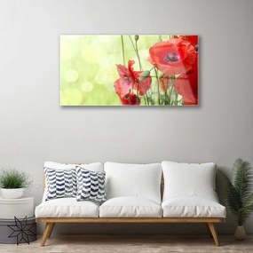 Quadro acrilico Papaveri, fiori, natura 100x50 cm