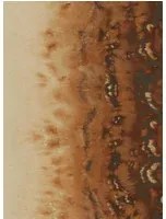 Clarke & Clarke Carta da parati Disperse - Bronze