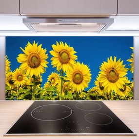 Rivestimento parete cucina Girasoli Pianta 100x50 cm