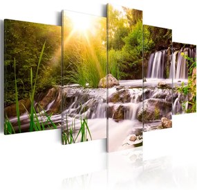 Quadro Forest Waterfall