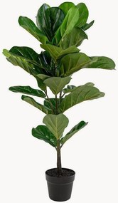 Pianta artificiale Fiddle