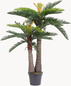 Pianta artificiale da esterno Cycas, alt. 150 cm
