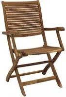 Poltrona da Giardino Pieghevole in Legno,Acacia cm 55x64x94 - HAL