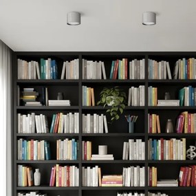 Brilagi - LED Faretto orientabile STRIPY 1xGX53/15W/230V argento