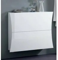 Scarpiera moderna, Made in Italy, a 2 ante, Portascarpe da ingresso, cm 101x27h82, colore Bianco lucido