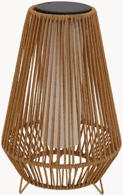 Lampada da terra solare a LED con luce regolabile Salomea Tall