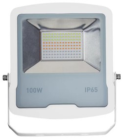 Faro proiettore LED RGB 100W IP65 con Telecomando - Bianco Colore RGB