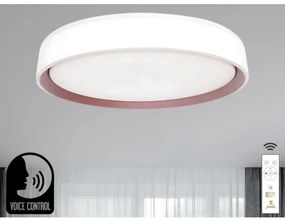 Plafoniera LED dimmerabile con controllo vocale OPAL LED/48W/230V + +TC
