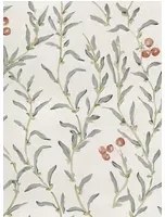 Coordonne Carta da parati Wild Blackthorn - Vermillion