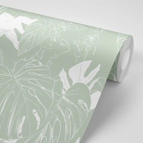 Carta da parati – Monstera insolita