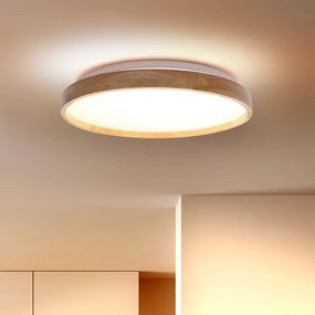 Brilagi - Plafoniera a LED ALSON LED/24W/230V rovere