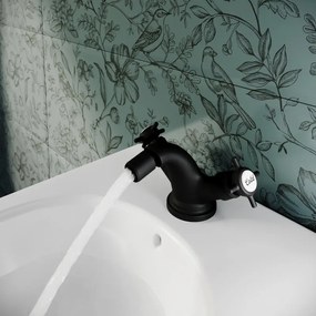 Rubinetto per bidet Mauna nero spazzolato opaco SENSEA