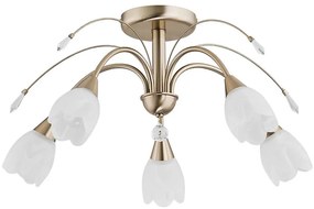 Plafoniera BASTER 5xE14/10W/230V dorata