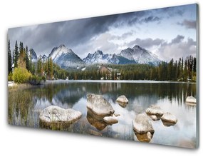 Quadro in vetro Lago Montagne Foresta Paesaggio 100x50 cm
