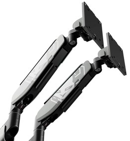 Supporto Doppio per Monitor da 49 Pollici Grigio e Nero RGB X-Arm Dual