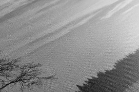 Stampa su tela – Albero solitario in bianco e nero