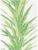 Tapete Yucca von Sanderson - Botanical Green