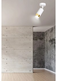 Faretto Orientabile 1 Luce Ragnar A Cilindro In Acciaio Bianco E Oro
