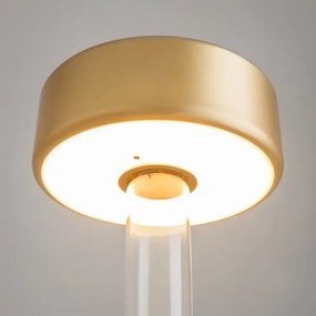 Maytoni MOD229TL-L3G3K1 - Lampada da tavolo LED dimmerabile portatile 3W/5V oro/