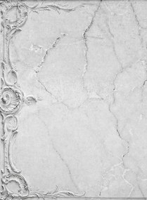 Coordonne Carta da parati panoramica Broken Ceiling - Grey