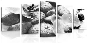 Quadri 5 pezzi – Bellissima armonia di pietre e orchidea in bianco e nero