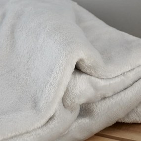 Coperta grigio chiaro in micropile 130x170 cm Raschel Velvet – Catherine Lansfield