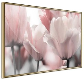 Poster  Pastel Tulips II  Cornice Quadri Cornice d'oro, Larghezza x Altezza Home decor 45x30