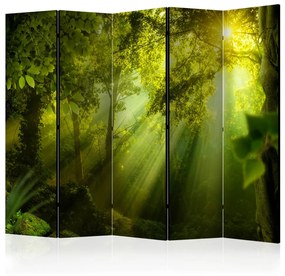 Paravento Nella Foresta Misteriosa II - Paesaggio verde di una foresta al sole