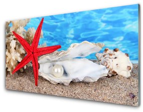Quadro acrilico Stelle marine, conchiglie, natura 100x50 cm