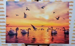 Stampa su tela – Cigni sul mare