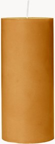 Candela Eco