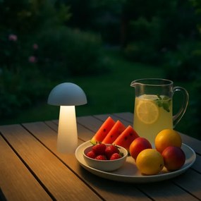 Rabalux 76037 - Lampada LED da esterno MIREO con dimmer touch 1,5W/5V IP44 1200 mAh USB bianca