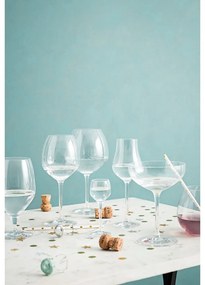 Bicchieri da liquore in set da 2 230 ml Premium - Rosendahl