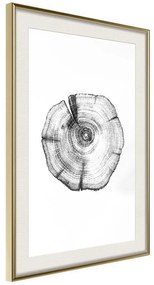 Poster  Tree Rings  Cornice Quadri Cornice d'oro con passe-partout, Larghezza x Altezza Home decor 40x60