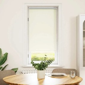 Tenda A Rullo Oscurante 40 X 100 Cm Beige /