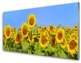 Targa In Metallo Vintage Con Girasole E Girasole, Decorazione Artistica