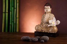 Carta da parati – Buddha meditante