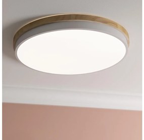 Brilliant - Plafoniera LED dimmerabile BAARLO LED/36W/230V diametro 50 cm bianco + +TC