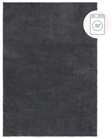 Tappeto lavabile grigio scuro in fibre riciclate 200x290 cm Fluffy - Flair Rugs