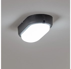 Brilagi - Plafoniera LED industriale SIMA LED/12W/230V IP65 nero