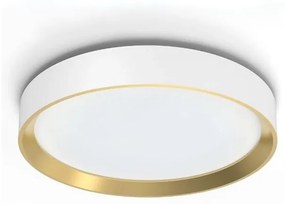 Philips - Plafoniera LED dimmerabile HANNO LED/24W/230V 4000K bianco