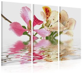 Quadro Orchidea a poispallini