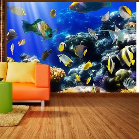 Fotomurale  Avventura sott'acqua  Colore colorful, Dimensioni e Misure 250x175